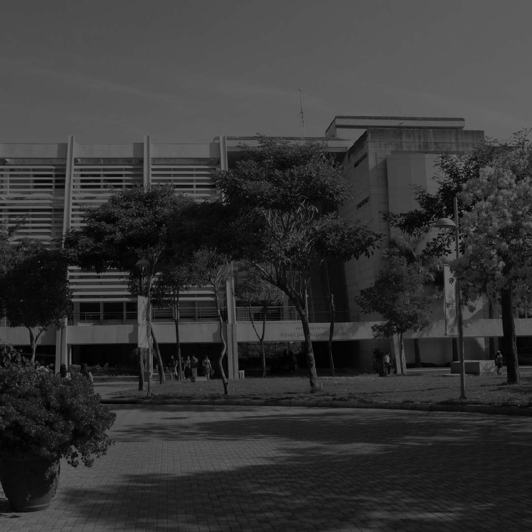 Universidad norte