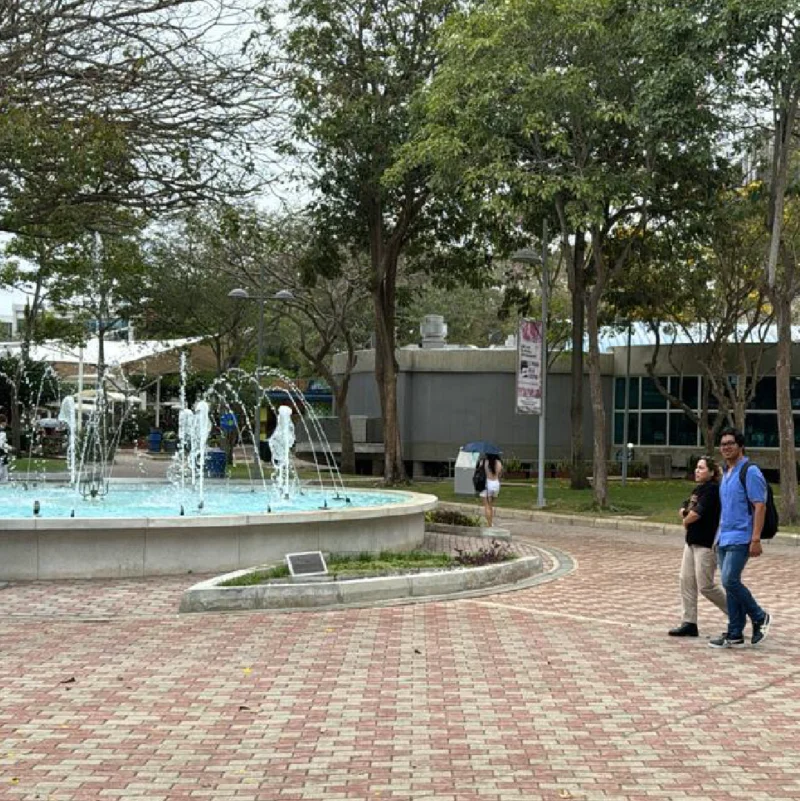 Universidad norte