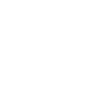 Adidas 1